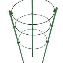 Climbing plant support trellis tomato flower 3 rings